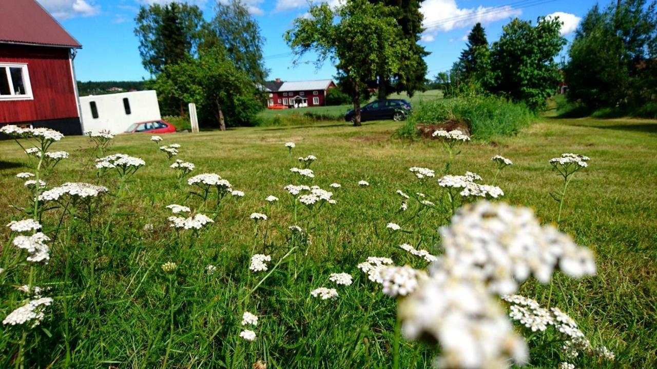 Ett Hus Med 3 Sovrum Med Supersnabba Internet Fiberanslutningen 1000Mb-100Mb I Hoeg, 7 Minuter Fran Hudiksvall Extérieur photo